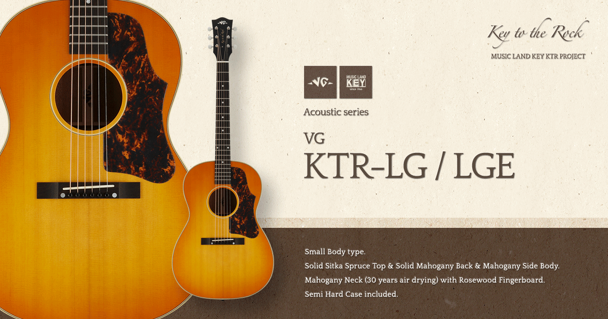 VG KTR-45 美品 エレアコ仕様 - 弦楽器、ギター