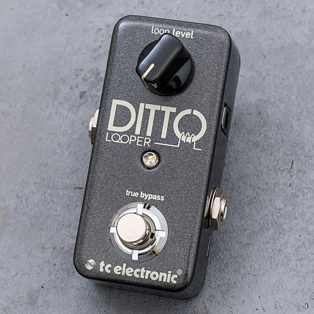 DITTO LOOPER tc electronic