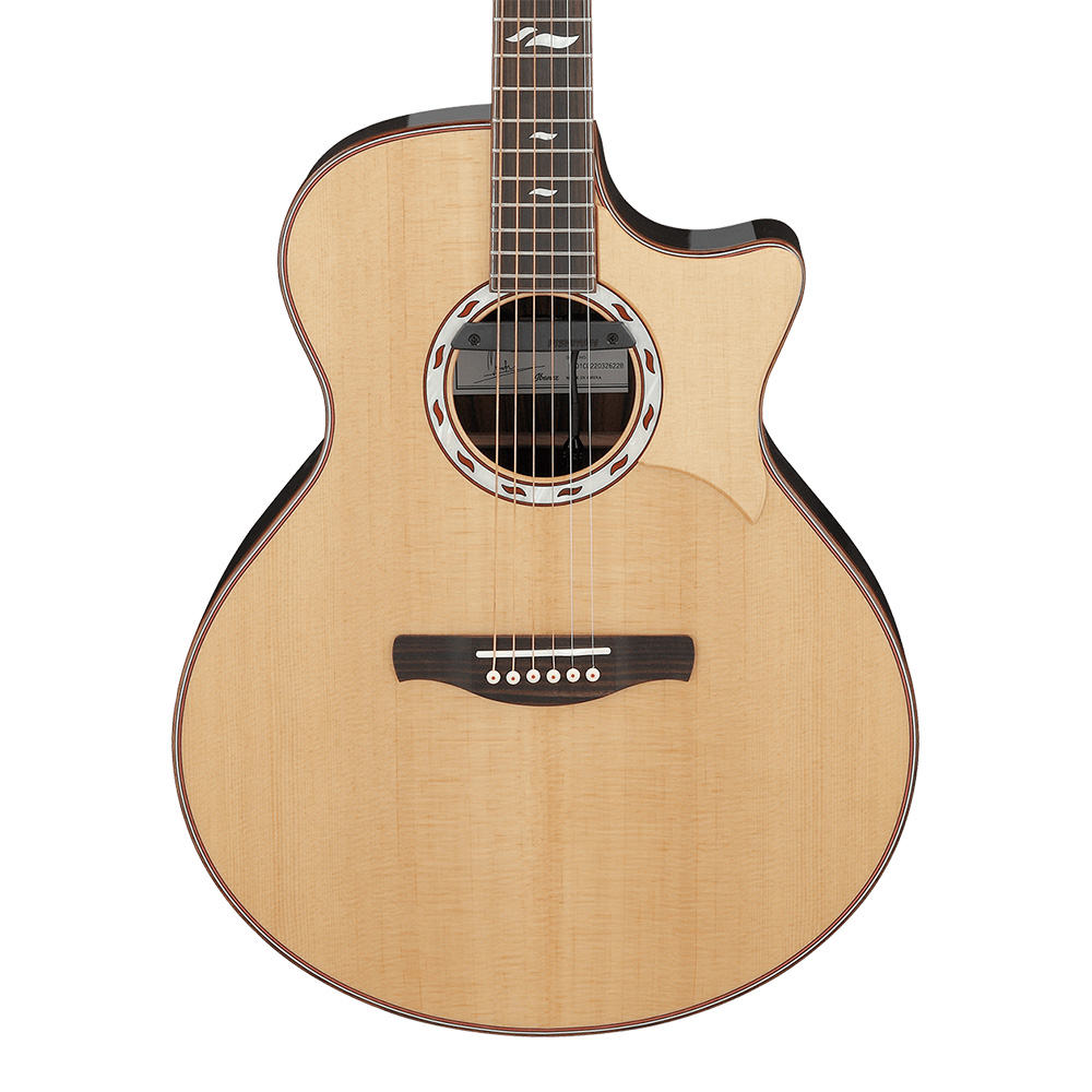 Ibanez ARTWOOD Fingerstyle Collection ACFS580CE-OPS (Open Pore 