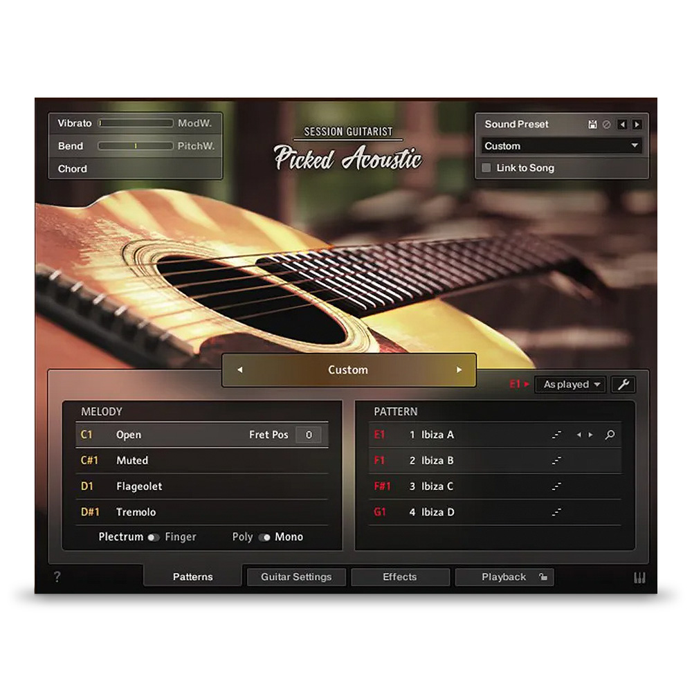 Native Instruments <br>Session Guitarist - Picked Acoustic