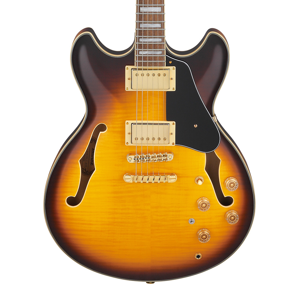 Ibanez <br>SIGNATURE MODEL John Scofield JSM10EM-TTB (Two-tone Burst)