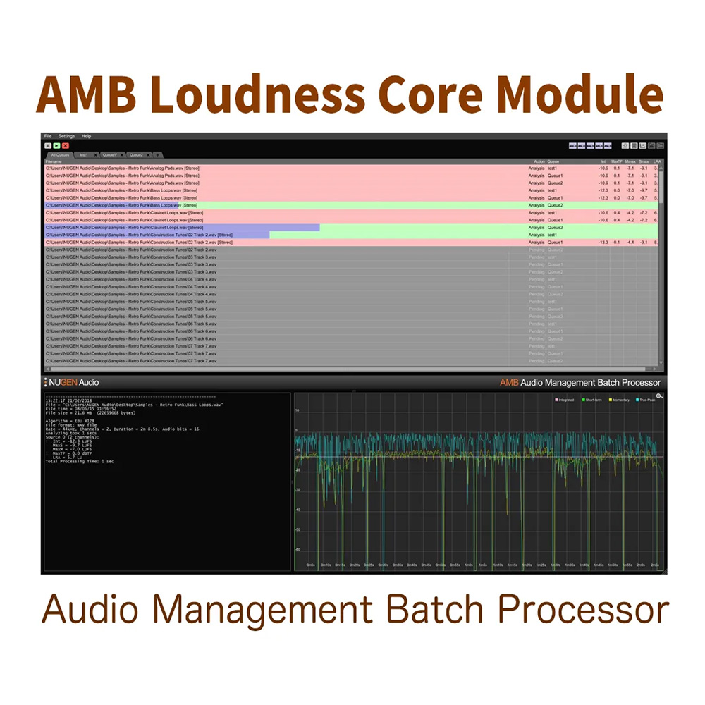 NUGEN Audio <br>AMB Loudness Core Module