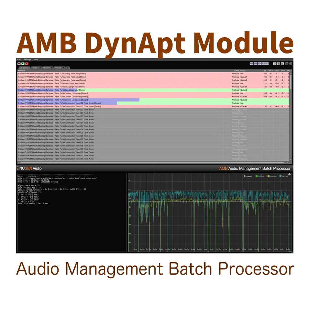 NUGEN Audio <br>AMB DynApt Module