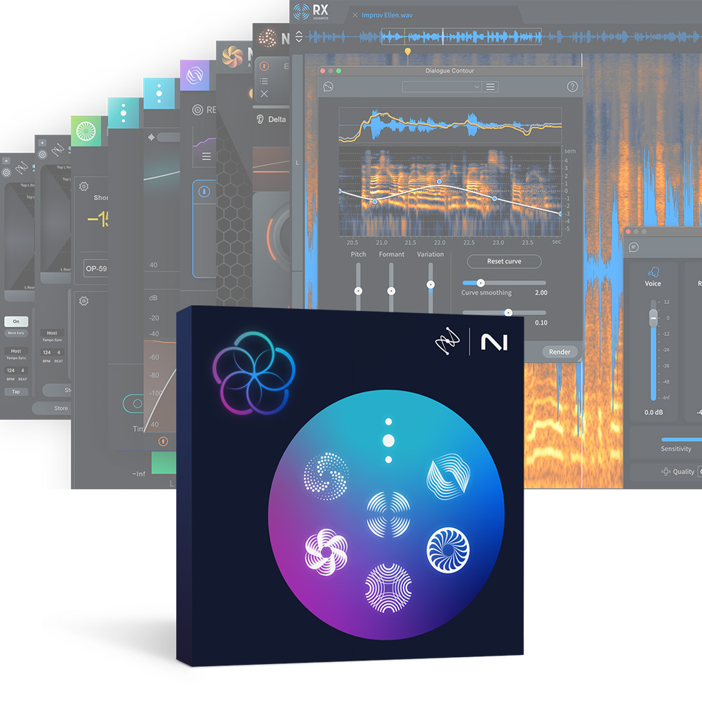 iZotope <br>RX Post Production Suite 8.5