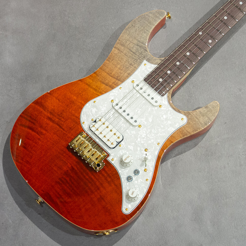 FUJIGEN(FGN) <br>EOS2-FM-R/RKG