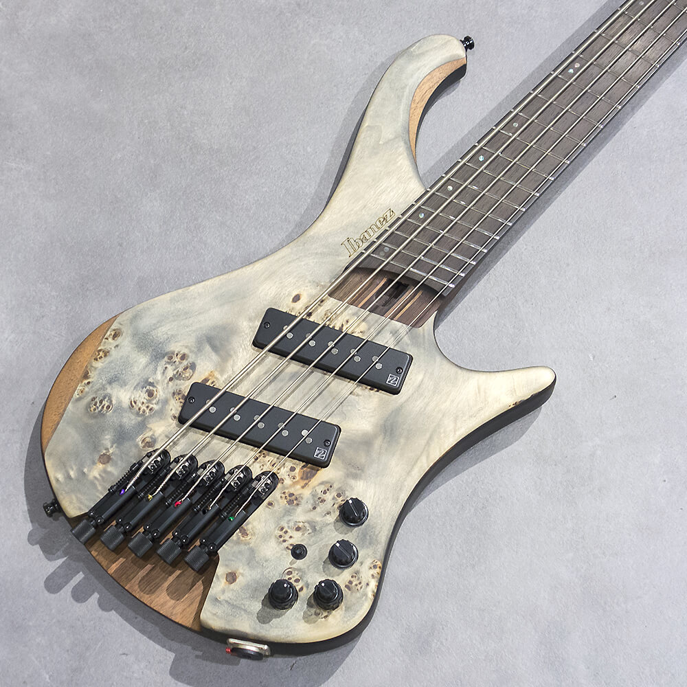 Ibanez <br>EHB Workshop EHB1505MS-BIF(Black Ice Flat)