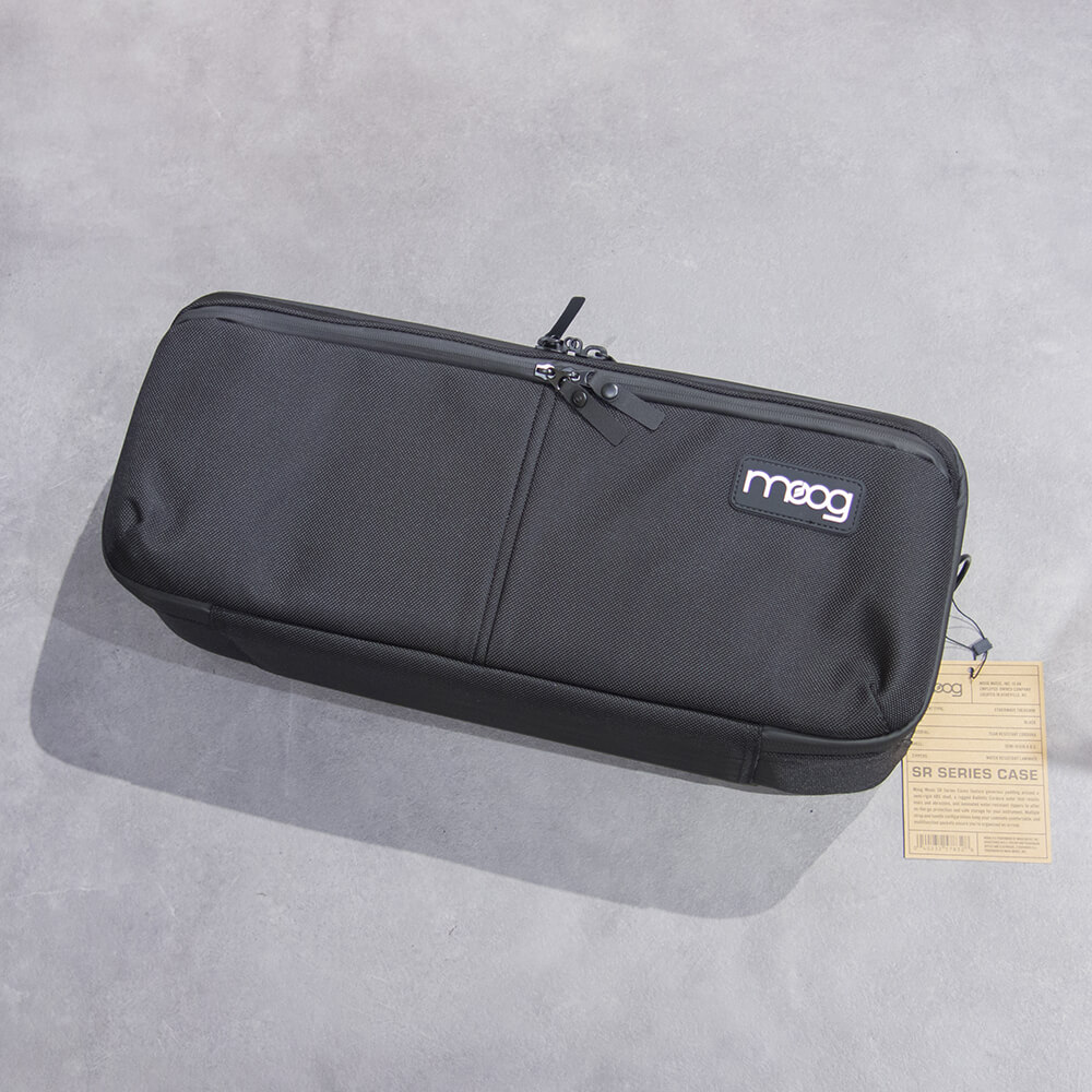 moog <br>Theremin SR CASE