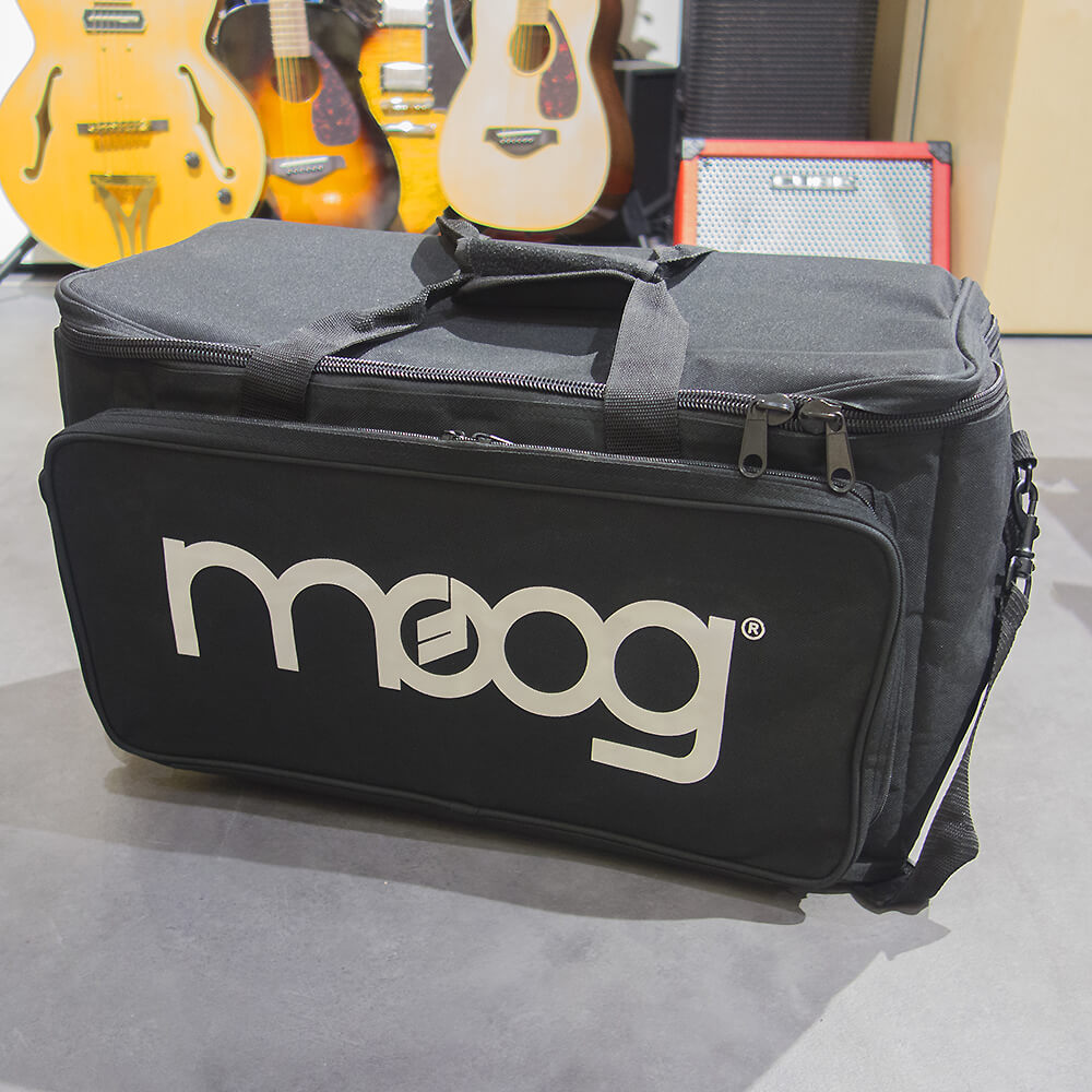 moog <br>Multi-Purpose Gig Bag